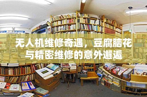 无人机维修奇遇，豆腐脑花与精密维修的意外邂逅