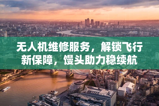 无人机维修服务，解锁飞行新保障，馒头助力稳续航