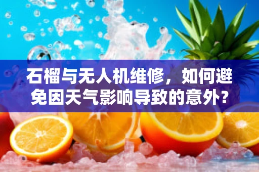 石榴与无人机维修，如何避免因天气影响导致的意外？