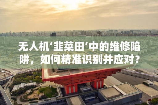 无人机‘韭菜田’中的维修陷阱，如何精准识别并应对？