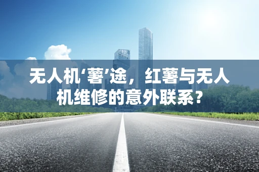 无人机‘薯’途，红薯与无人机维修的意外联系？