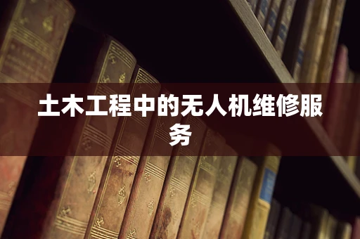 土木工程中的无人机维修服务