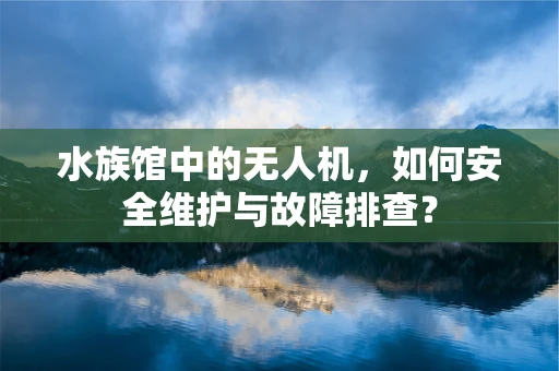 水族馆中的无人机，如何安全维护与故障排查？