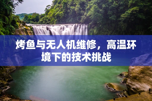 烤鱼与无人机维修，高温环境下的技术挑战