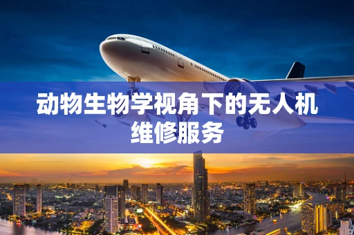 动物生物学视角下的无人机维修服务