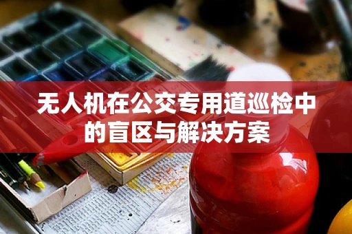 无人机在公交专用道巡检中的盲区与解决方案