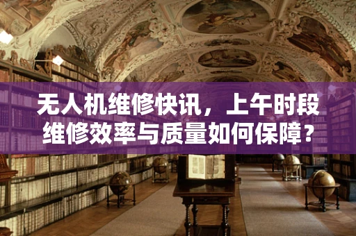 无人机维修快讯，上午时段维修效率与质量如何保障？