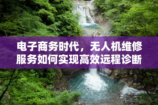 电子商务时代，无人机维修服务如何实现高效远程诊断？