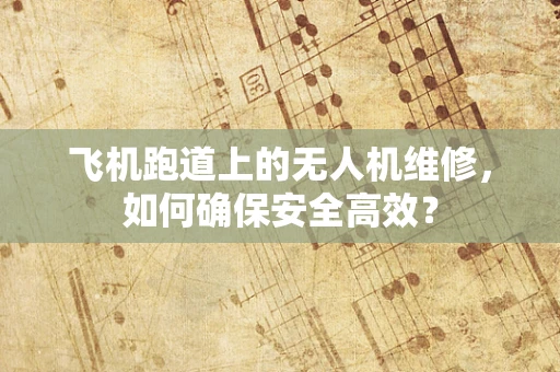 飞机跑道上的无人机维修，如何确保安全高效？