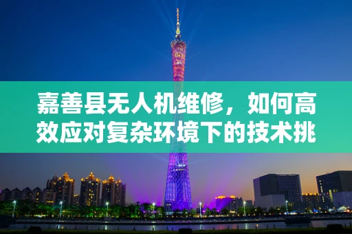 嘉善县无人机维修，如何高效应对复杂环境下的技术挑战？
