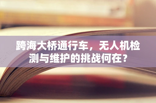 跨海大桥通行车，无人机检测与维护的挑战何在？