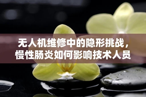 无人机维修中的隐形挑战，慢性肠炎如何影响技术人员？