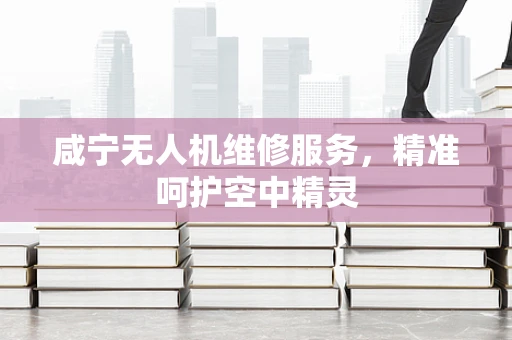 咸宁无人机维修服务，精准呵护空中精灵