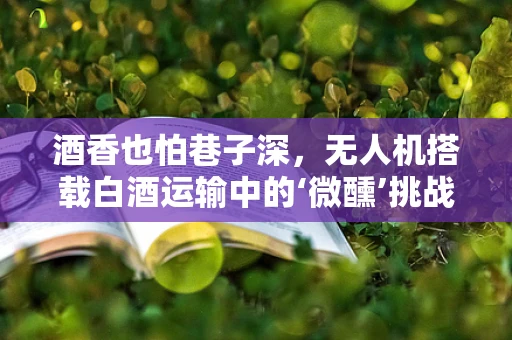 酒香也怕巷子深，无人机搭载白酒运输中的‘微醺’挑战