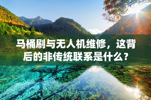 马桶刷与无人机维修，这背后的非传统联系是什么？