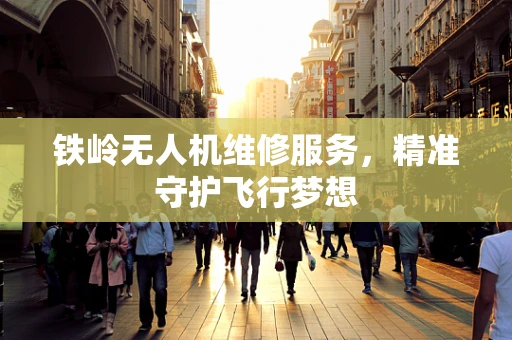 铁岭无人机维修服务，精准守护飞行梦想