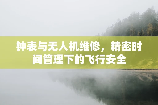 钟表与无人机维修，精密时间管理下的飞行安全