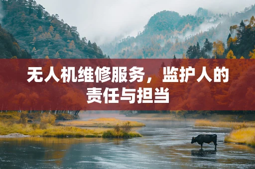 无人机维修服务，监护人的责任与担当