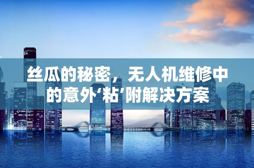 丝瓜的秘密，无人机维修中的意外‘粘’附解决方案
