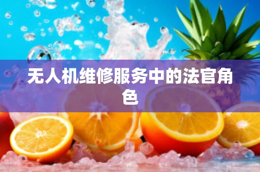 无人机维修服务中的法官角色