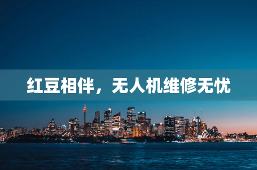 红豆相伴，无人机维修无忧