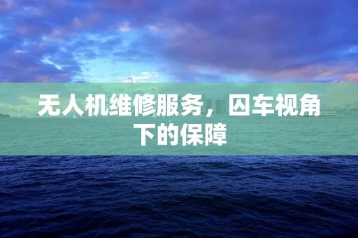 无人机维修服务，囚车视角下的保障