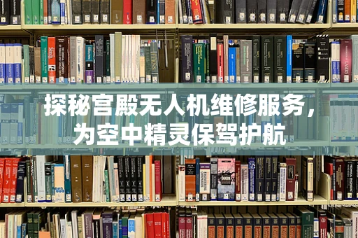 探秘宫殿无人机维修服务，为空中精灵保驾护航