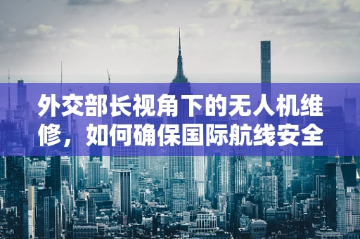 外交部长视角下的无人机维修，如何确保国际航线安全？