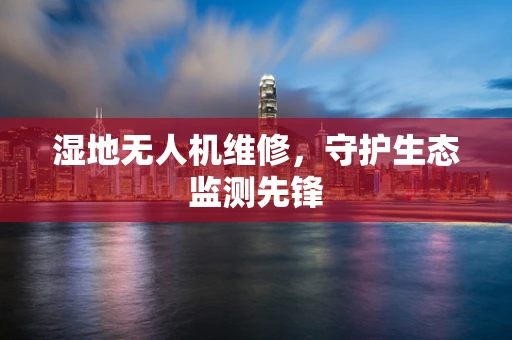 湿地无人机维修，守护生态监测先锋