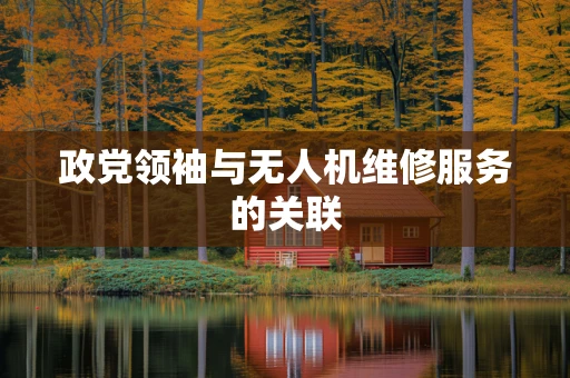 政党领袖与无人机维修服务的关联