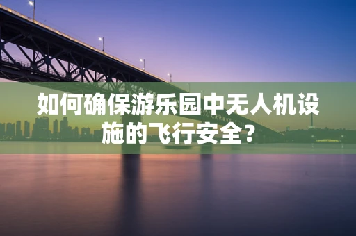 如何确保游乐园中无人机设施的飞行安全？