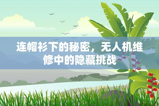 连帽衫下的秘密，无人机维修中的隐藏挑战