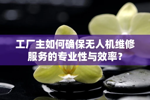 工厂主如何确保无人机维修服务的专业性与效率？