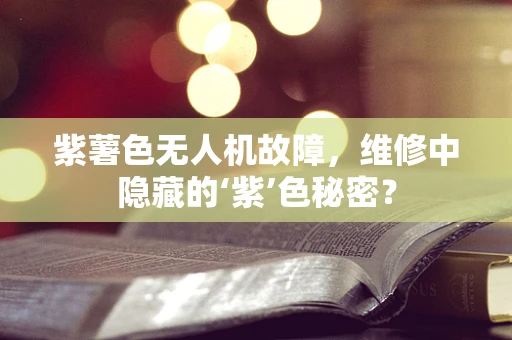 紫薯色无人机故障，维修中隐藏的‘紫’色秘密？