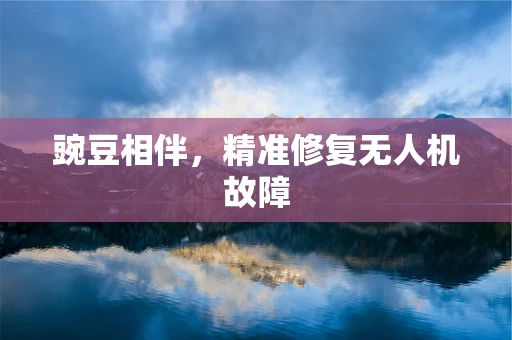 豌豆相伴，精准修复无人机故障