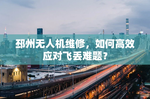 邳州无人机维修，如何高效应对飞丢难题？