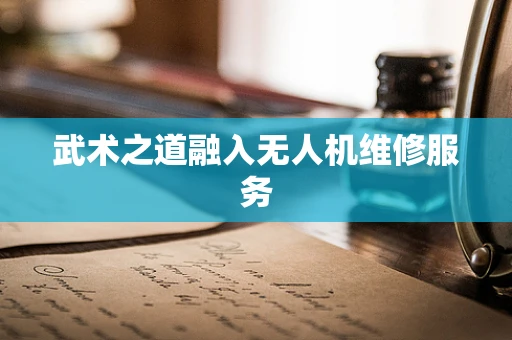 武术之道融入无人机维修服务