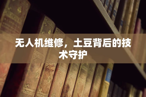 无人机维修，土豆背后的技术守护