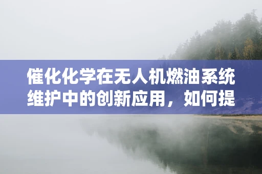 催化化学在无人机燃油系统维护中的创新应用，如何提升效率与环保？
