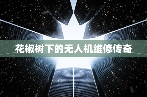 花椒树下的无人机维修传奇