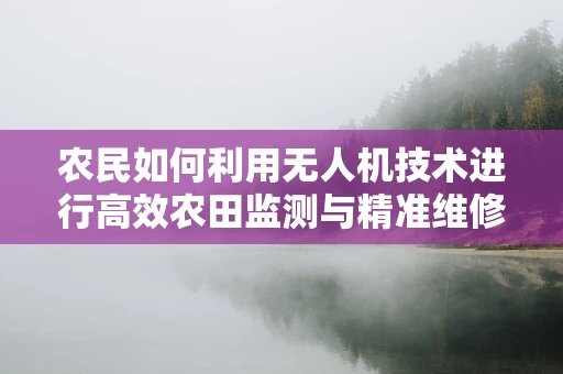 农民如何利用无人机技术进行高效农田监测与精准维修？