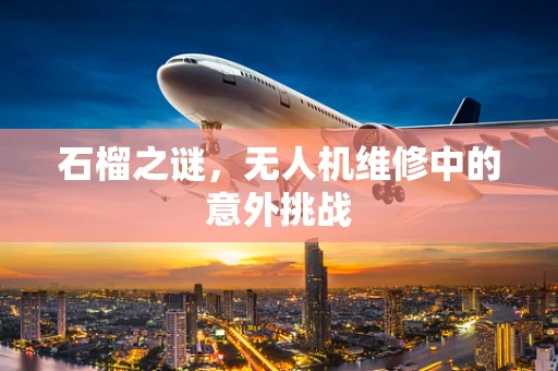 石榴之谜，无人机维修中的意外挑战