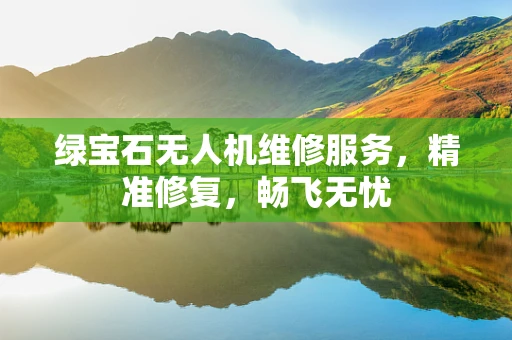 绿宝石无人机维修服务，精准修复，畅飞无忧