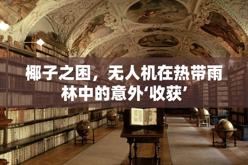 椰子之困，无人机在热带雨林中的意外‘收获’