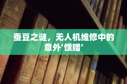 蚕豆之谜，无人机维修中的意外‘馈赠’