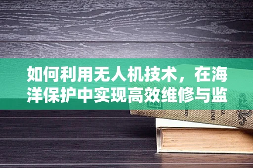 如何利用无人机技术，在海洋保护中实现高效维修与监测？