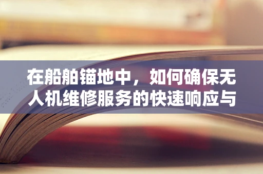在船舶锚地中，如何确保无人机维修服务的快速响应与安全执行？