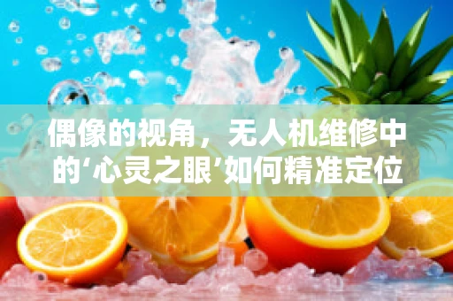 偶像的视角，无人机维修中的‘心灵之眼’如何精准定位？
