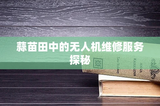 蒜苗田中的无人机维修服务探秘