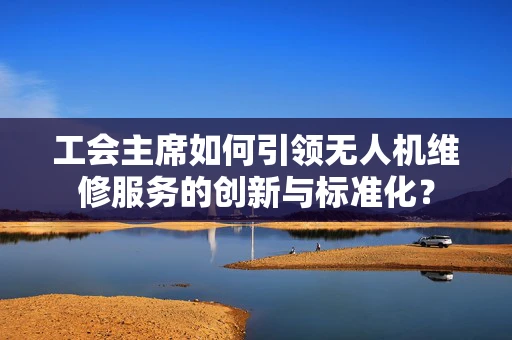 工会主席如何引领无人机维修服务的创新与标准化？